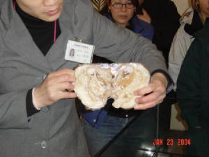 886004030105_0_alb.jpg